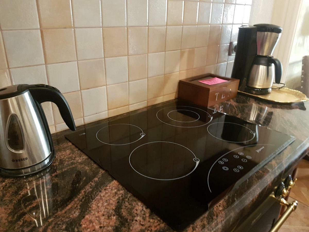 Goldstar Luxury Old Town Krakow Apartment Dış mekan fotoğraf